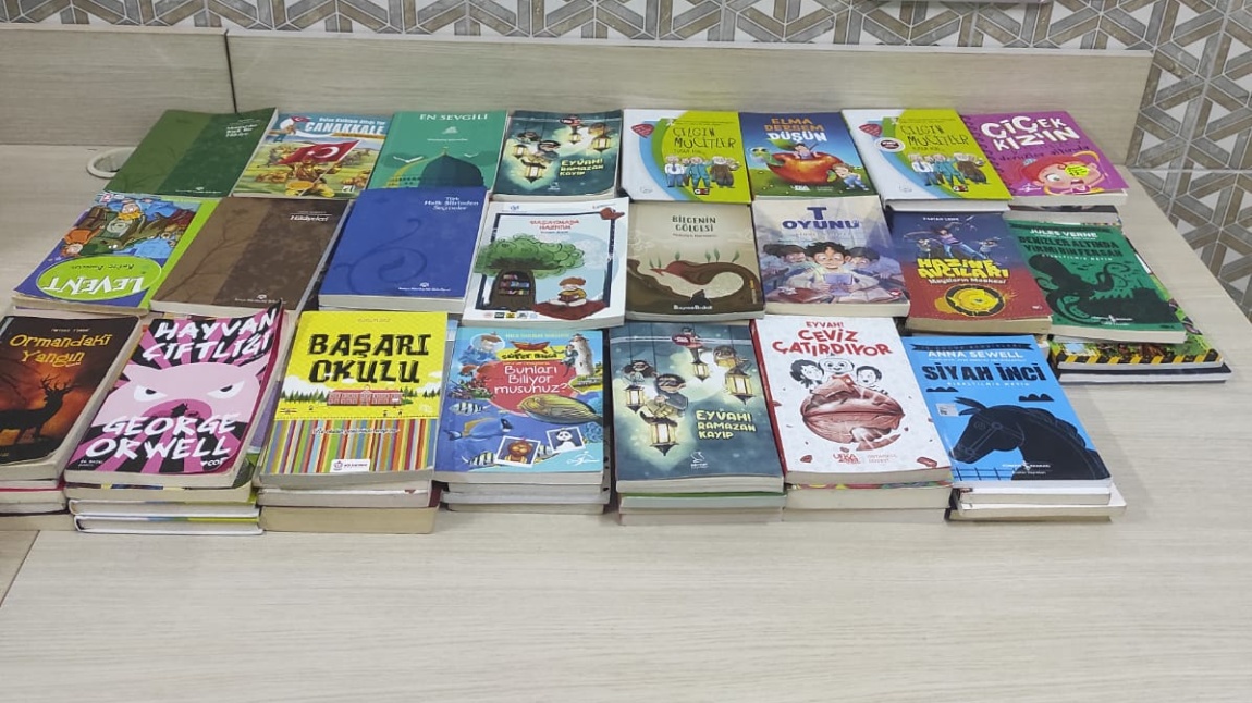 Okulumuzda Kitap Toplama Kampanyası